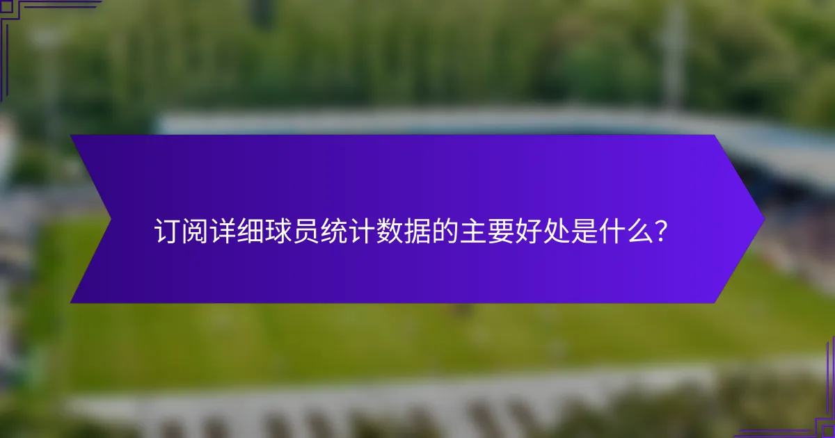 订阅详细球员统计数据的主要好处是什么？