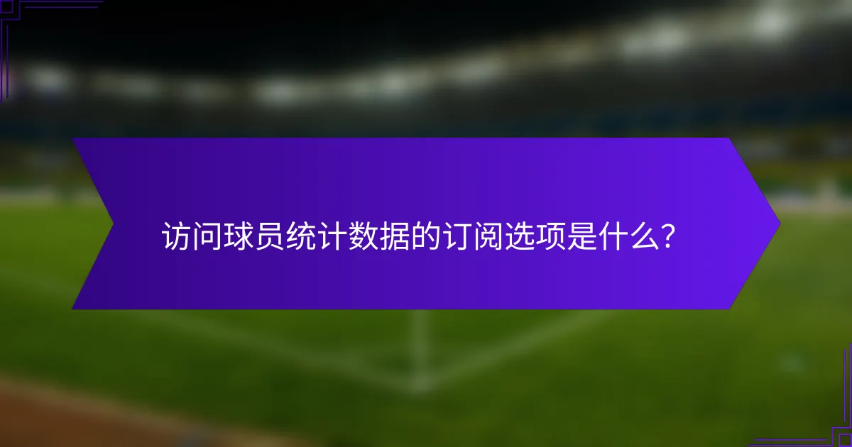 访问球员统计数据的订阅选项是什么?