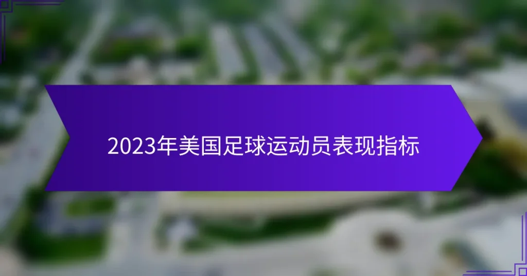 2023年美国足球运动员表现指标