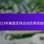 2023年美国足球运动员表现指标