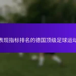 按表现指标排名的德国顶级足球运动员