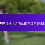 按表现指标排名的法国顶级足球运动员