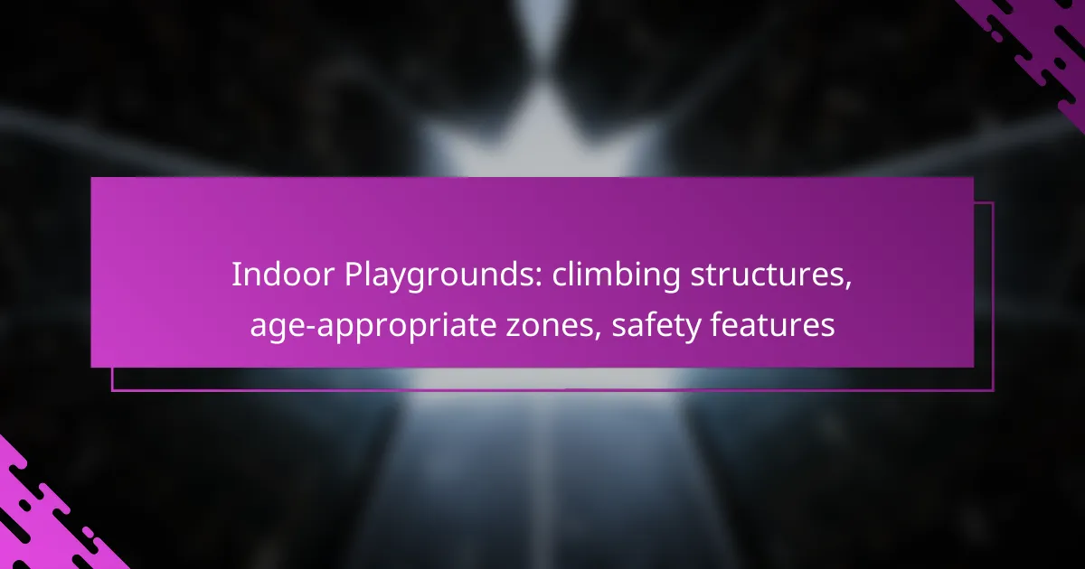Indoor Playgrounds: climbing structures, age-appropriate zones, safety features