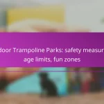 Indoor Trampoline Parks: safety measures, age limits, fun zones