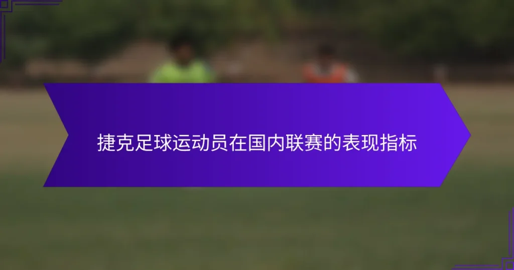 捷克足球运动员在国内联赛的表现指标