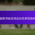越南顶级足球运动员表现指标