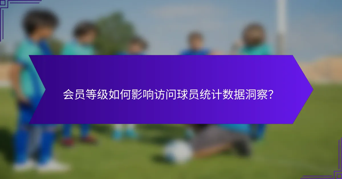 会员等级如何影响访问球员统计数据洞察？