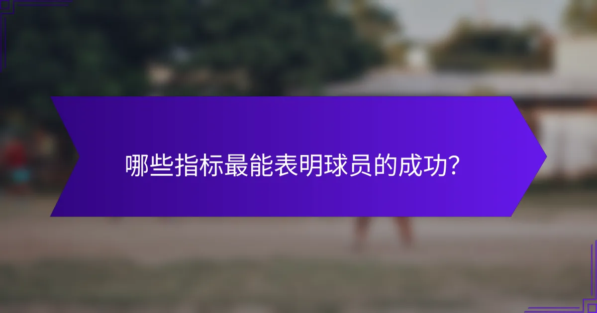 哪些指标最能表明球员的成功？