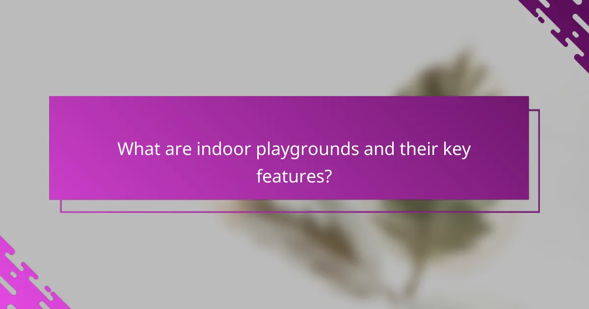 What are indoor playgrounds and their key features?