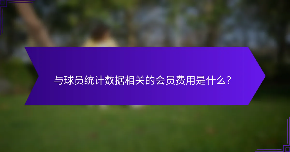 与球员统计数据相关的会员费用是什么?
